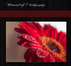 Andrea Gadringer: Moments of Photography