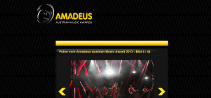 Eventbetreuung Amadeus Awards 2013