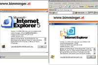 Zwei IE Versionen